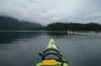 Passeio de caiaque nas águas calmas e geladas de Tofino, na costa oeste da Vancouver Island, na Columbia Britânica.no Canadá